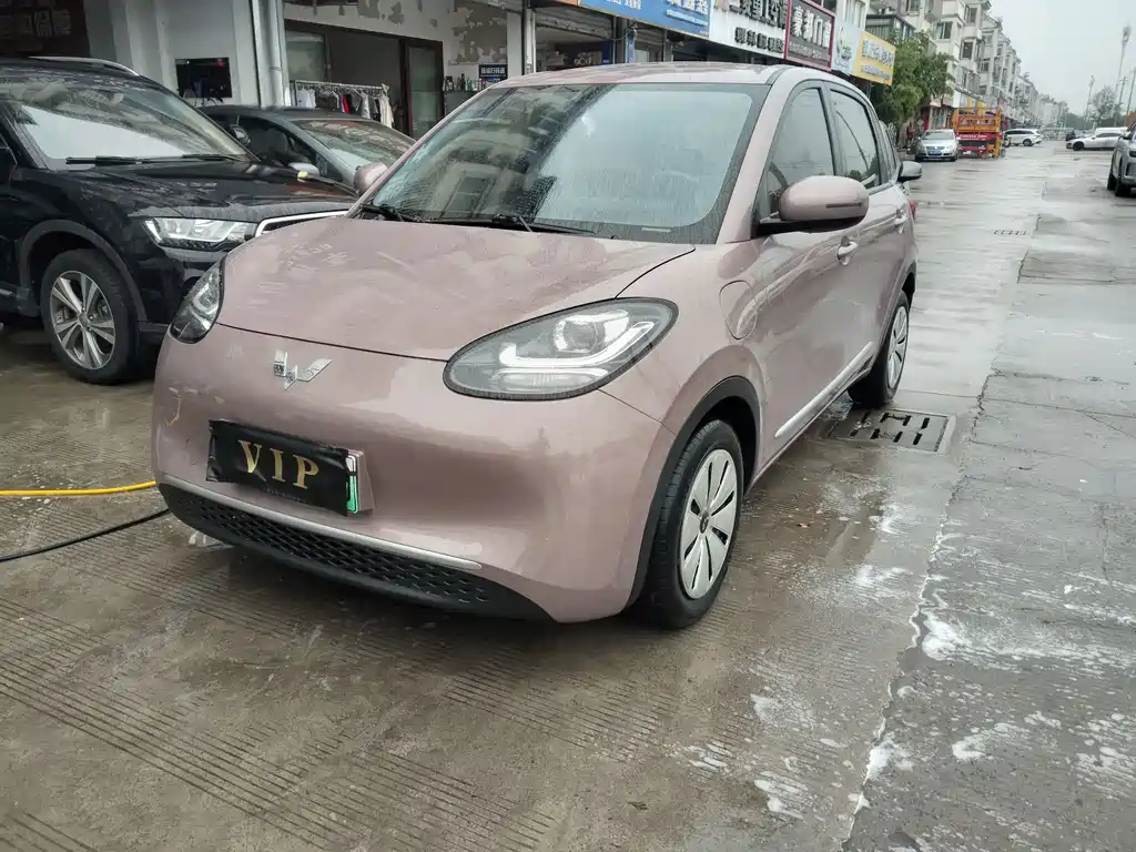Wuling Binguo