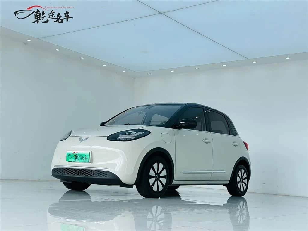 Wuling Binguo