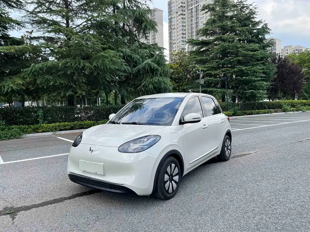 Wuling Binguo