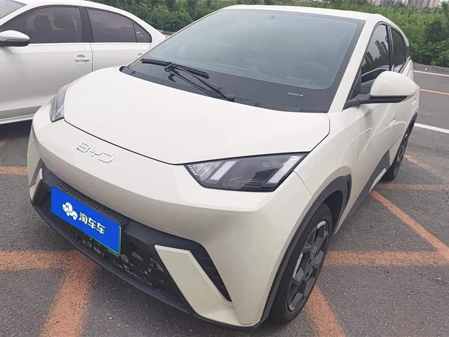 BYD Seagull
