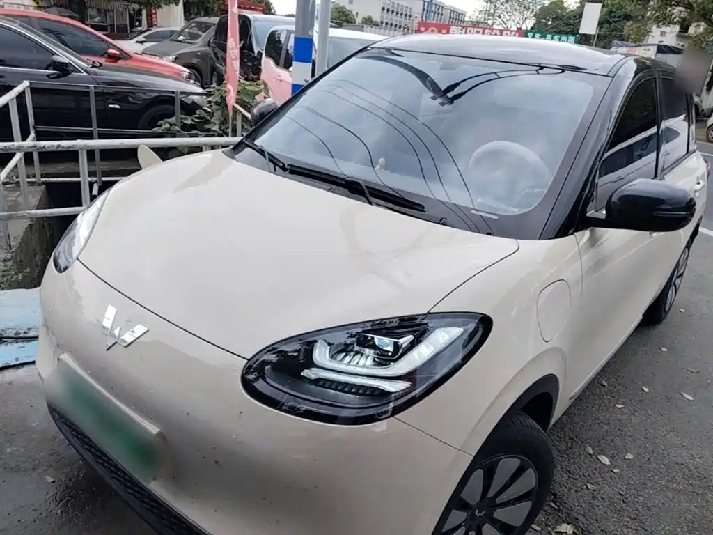Wuling Binguo