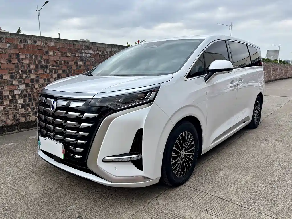 Denza D9