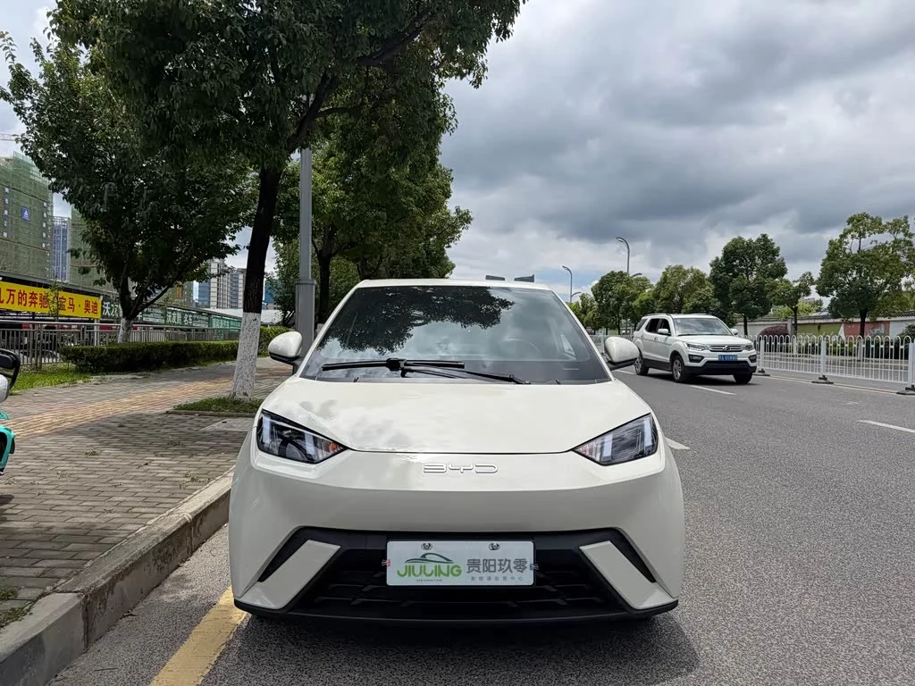 BYD Seagull