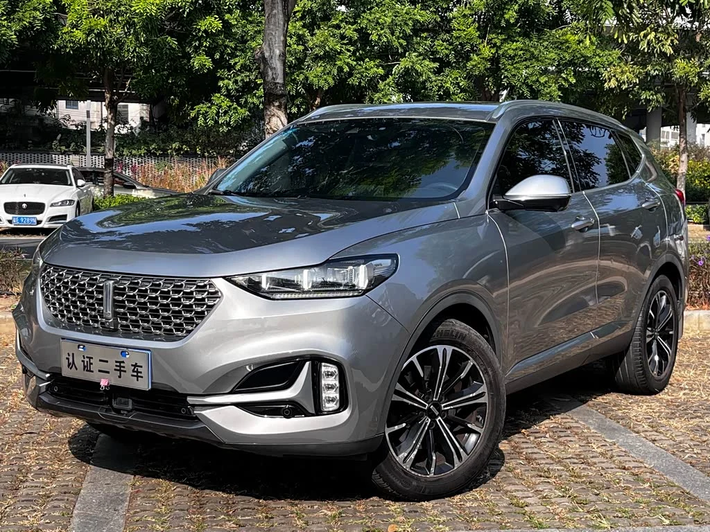 Wey VV6