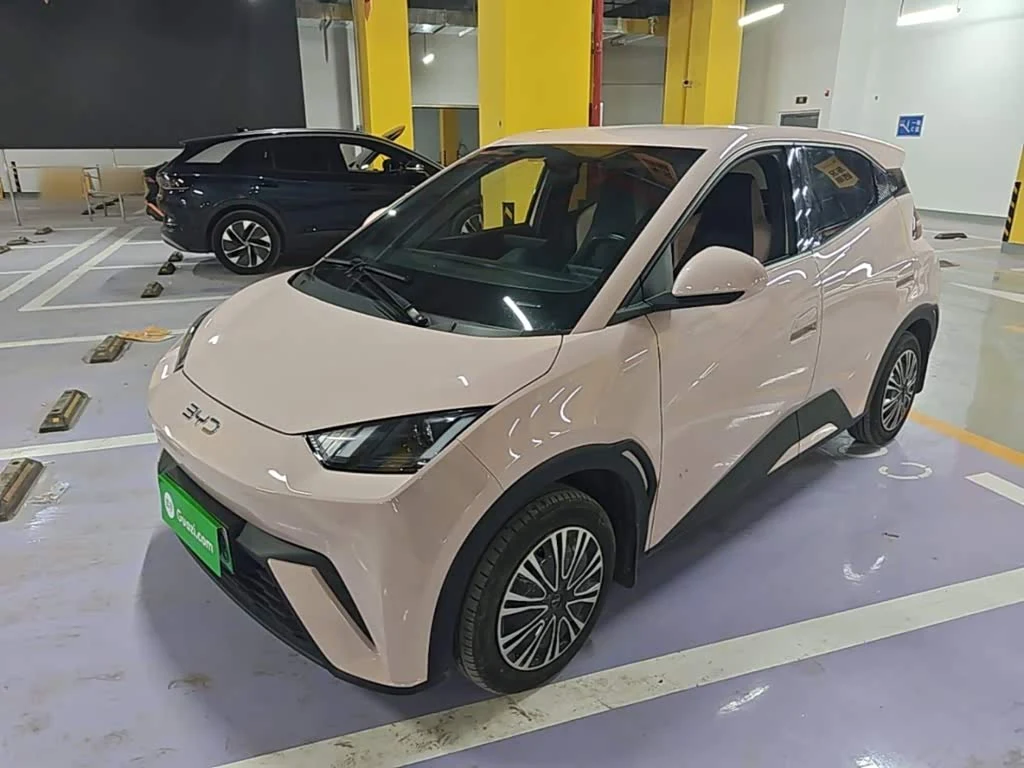 BYD Seagull