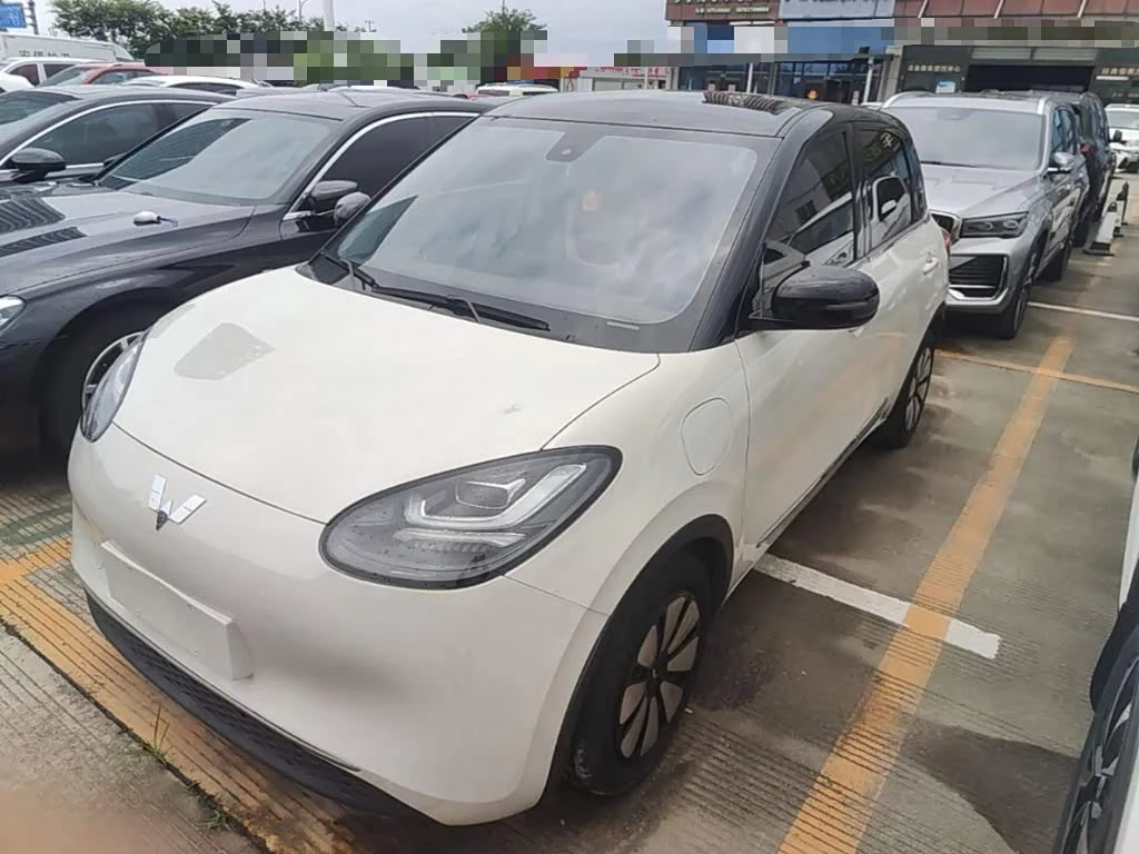 Wuling Binguo
