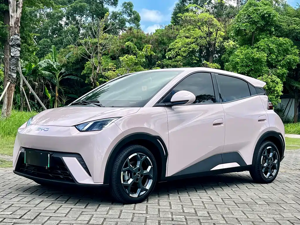 BYD Seagull