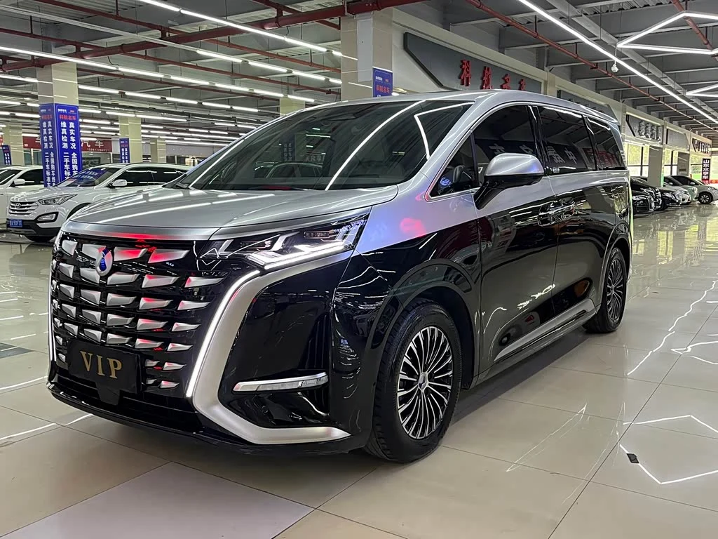 Denza D9