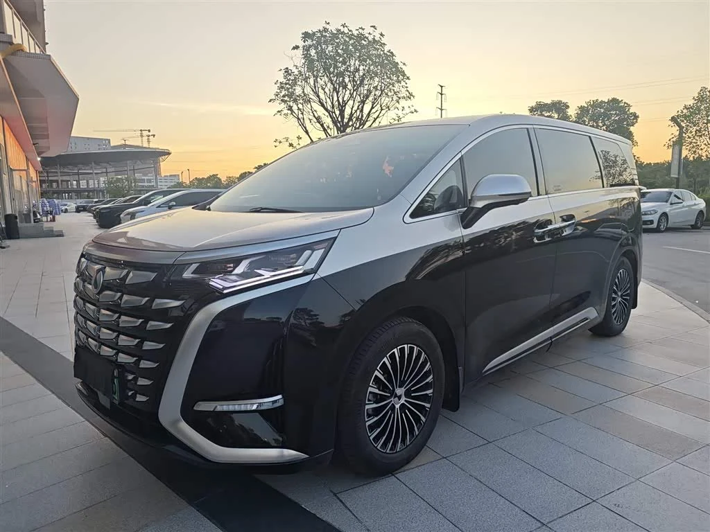Denza D9