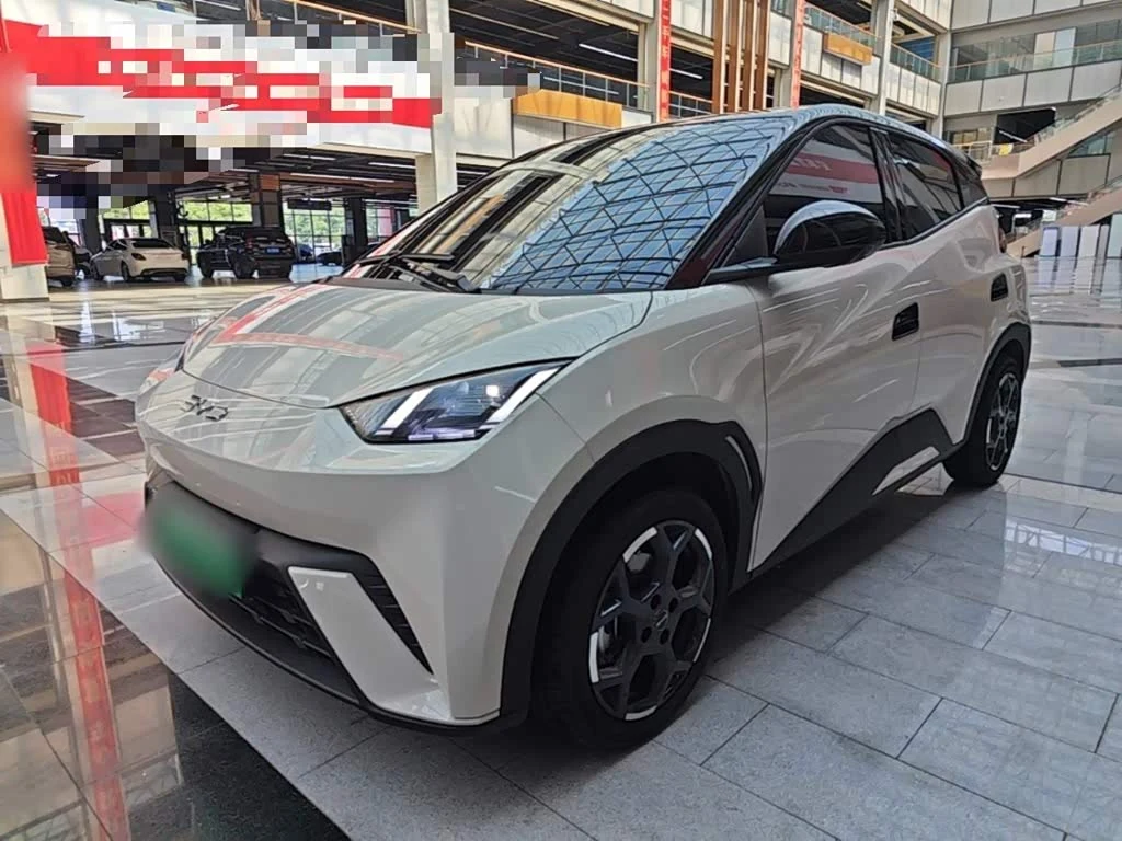 BYD Seagull