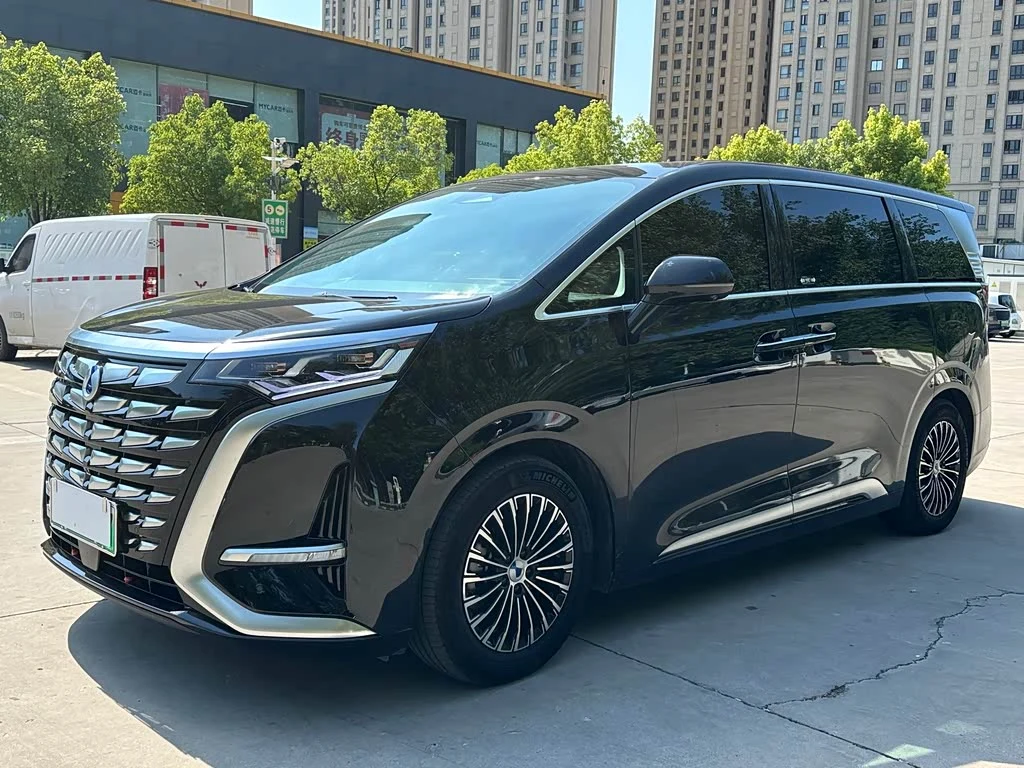 Denza D9