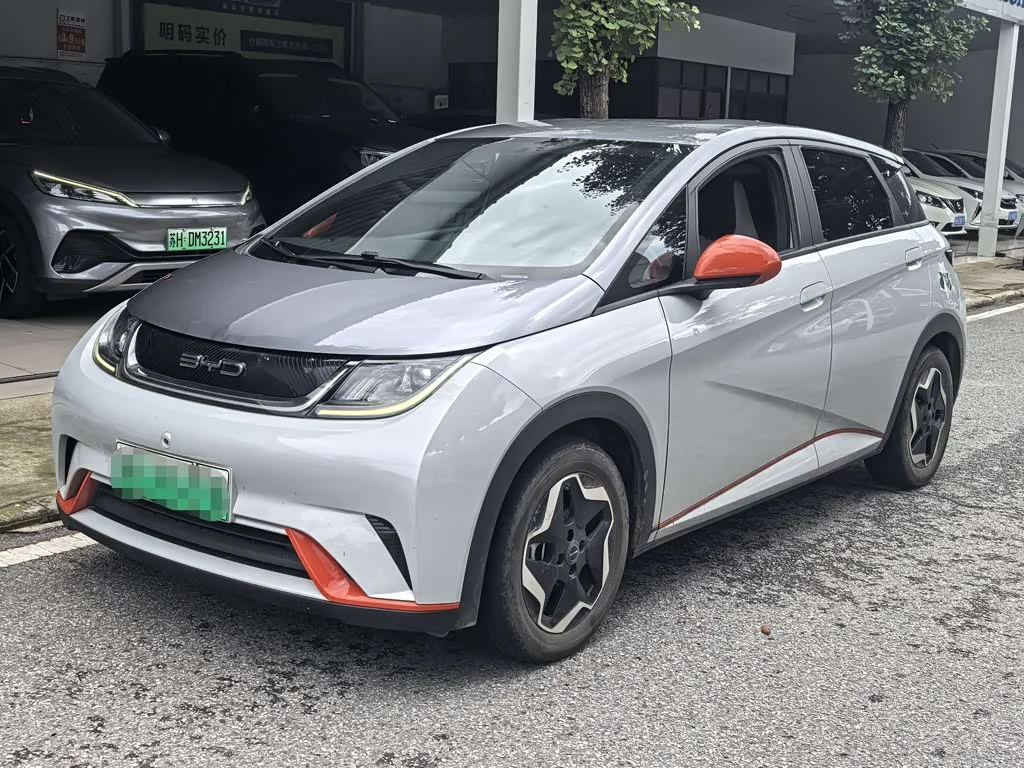 BYD Dolphin