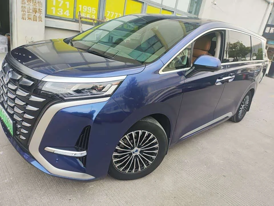 Denza D9