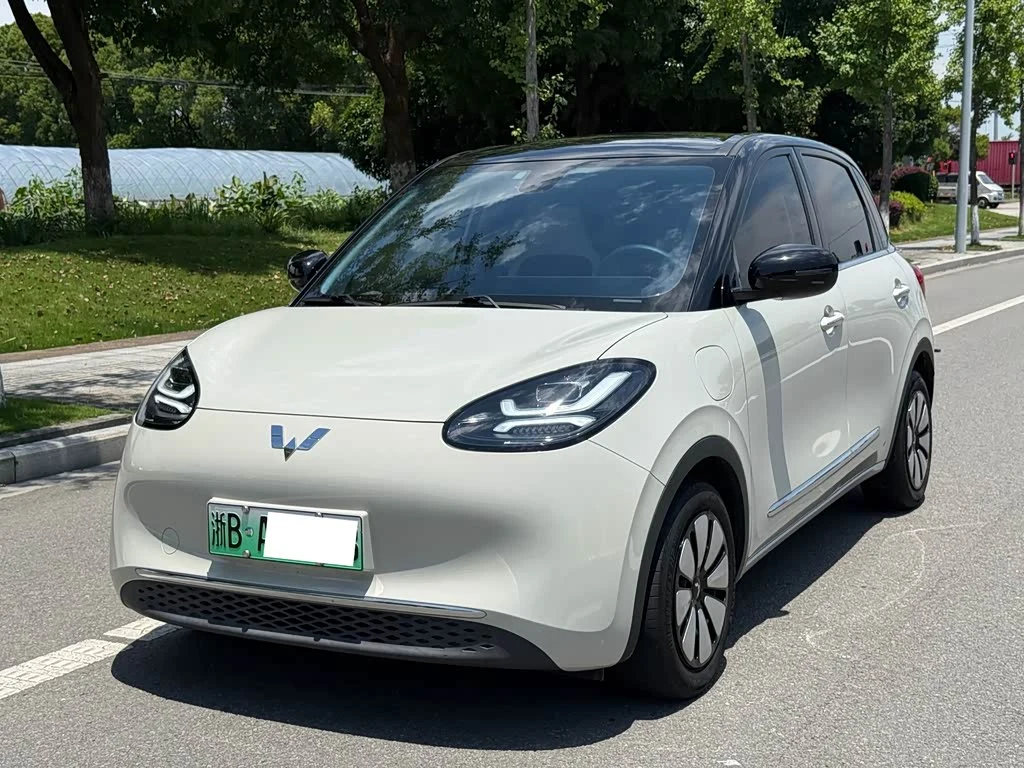 Wuling Binguo