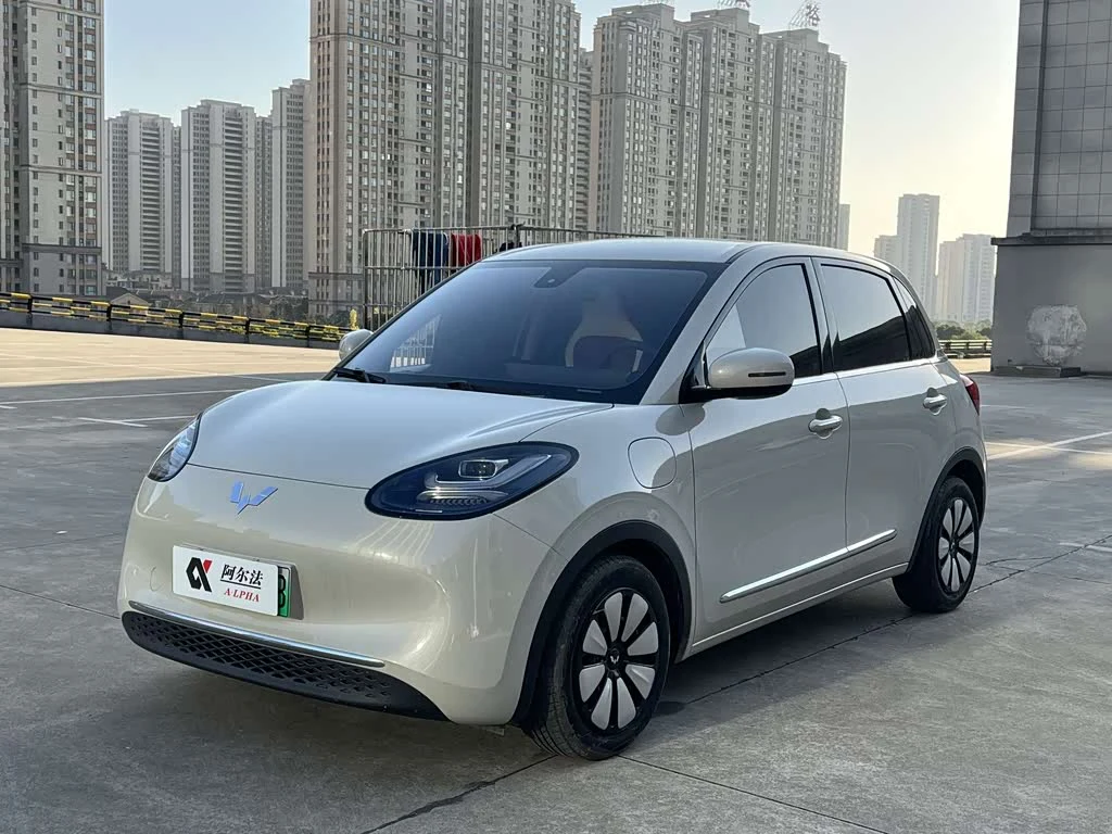 Wuling Binguo