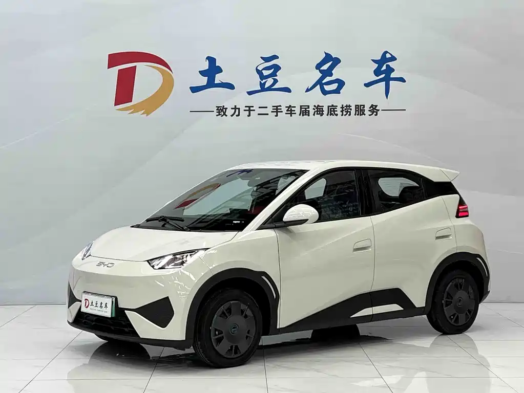 BYD Seagull