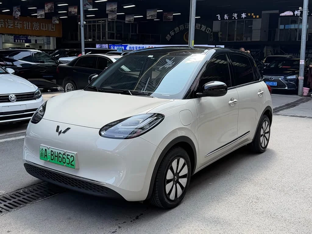 Wuling Binguo