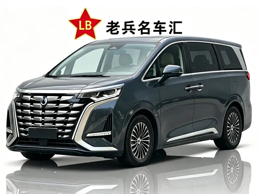 Denza D9