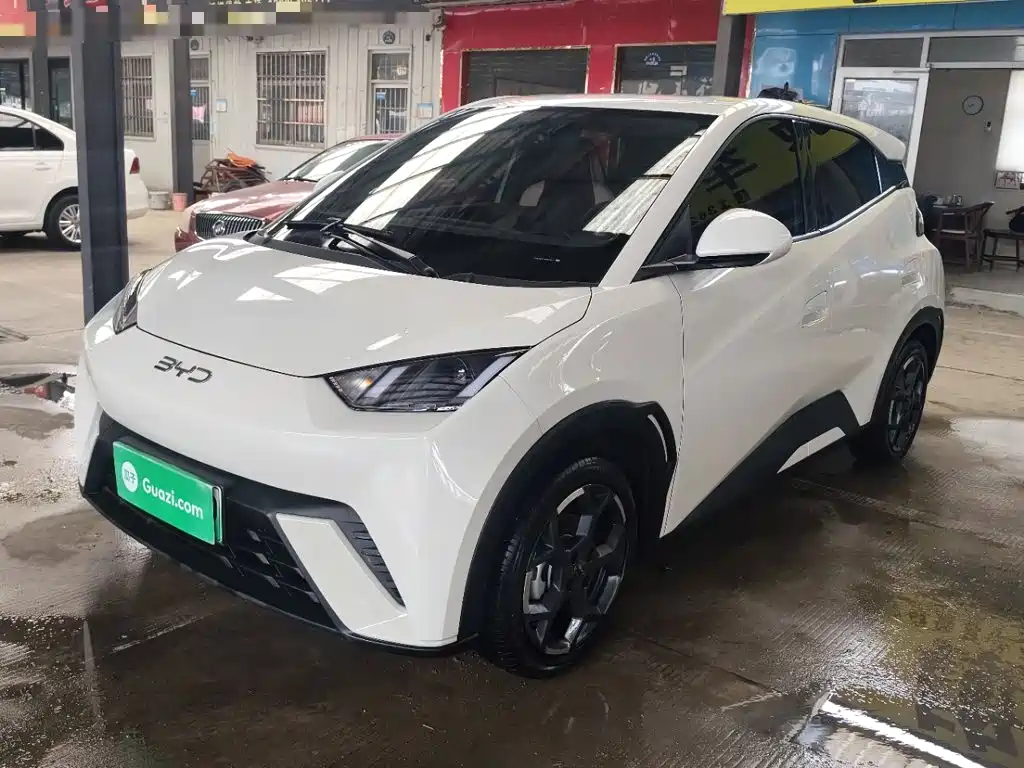 BYD Seagull