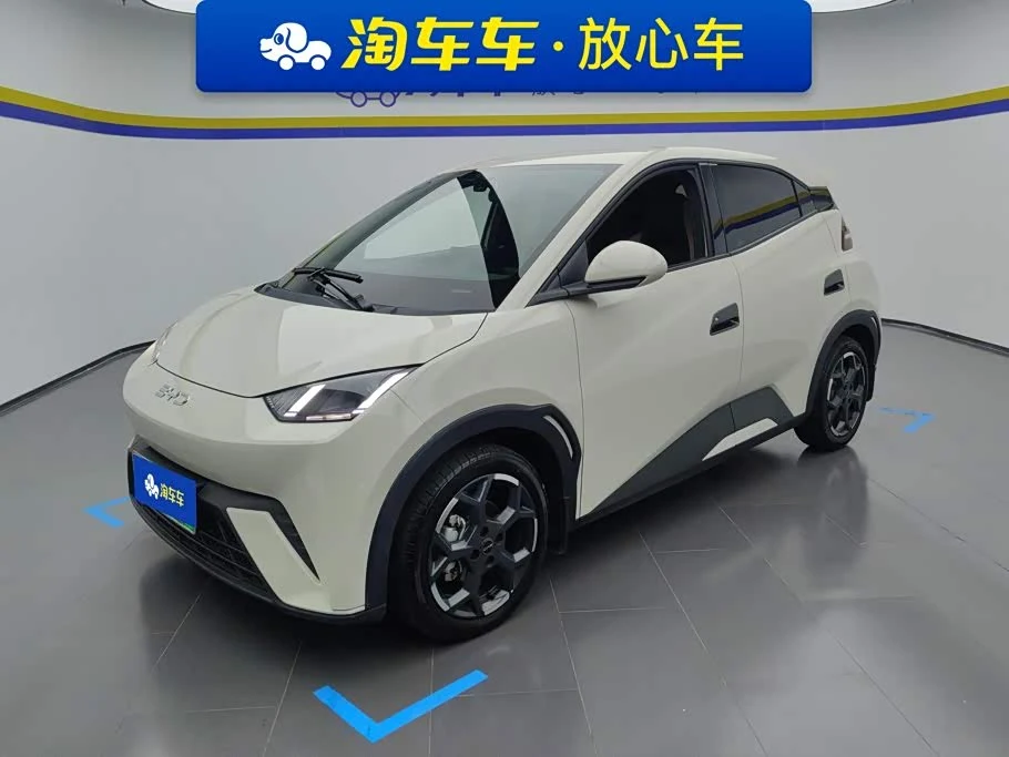 BYD Seagull