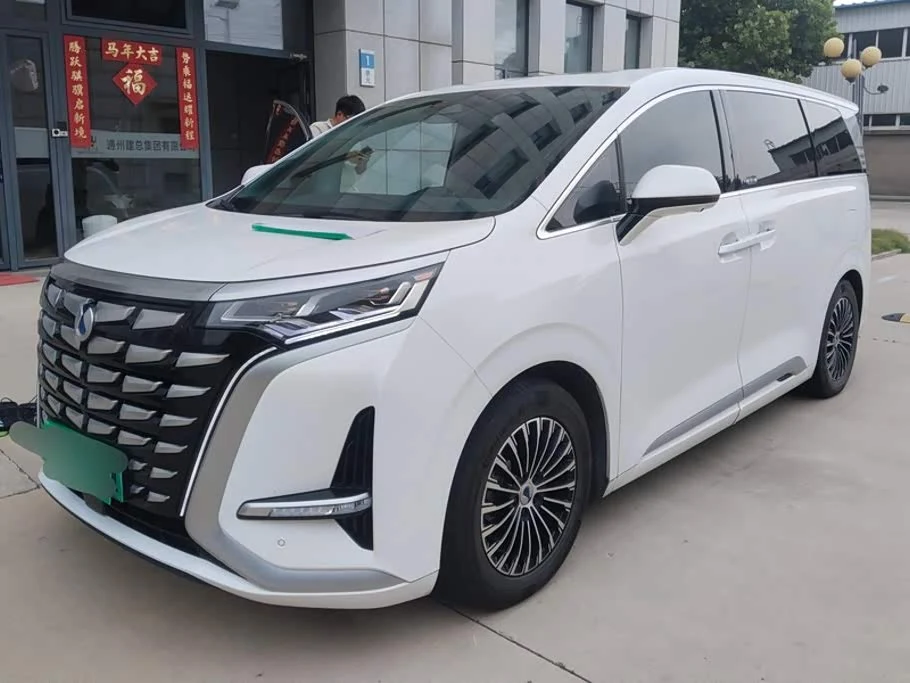 Denza D9