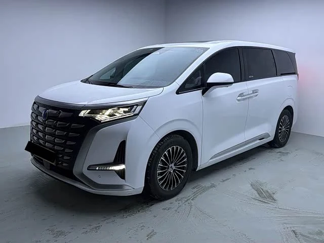 Denza D9