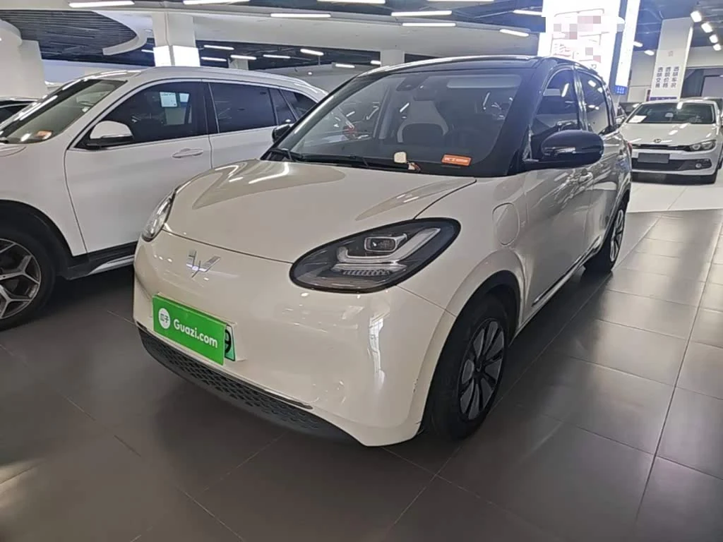 Wuling Binguo