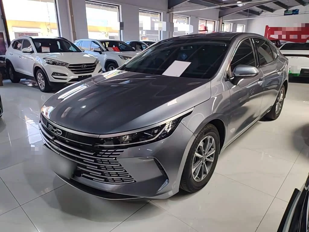 BYD Destroyer 05
