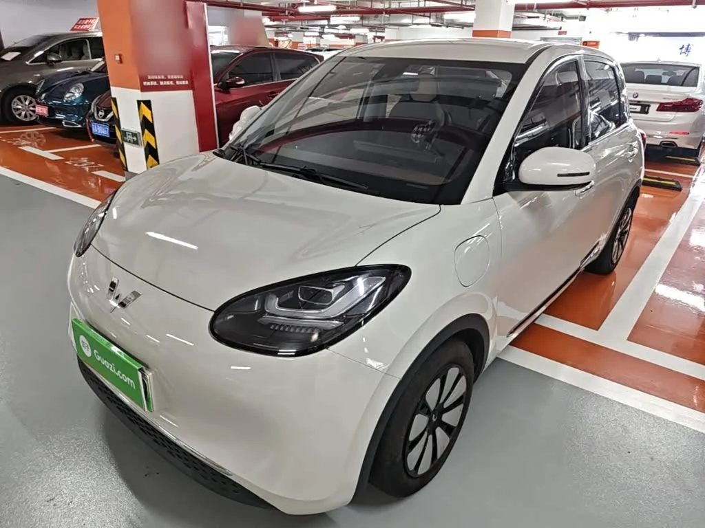 Wuling Binguo