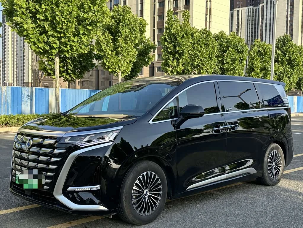 Denza D9