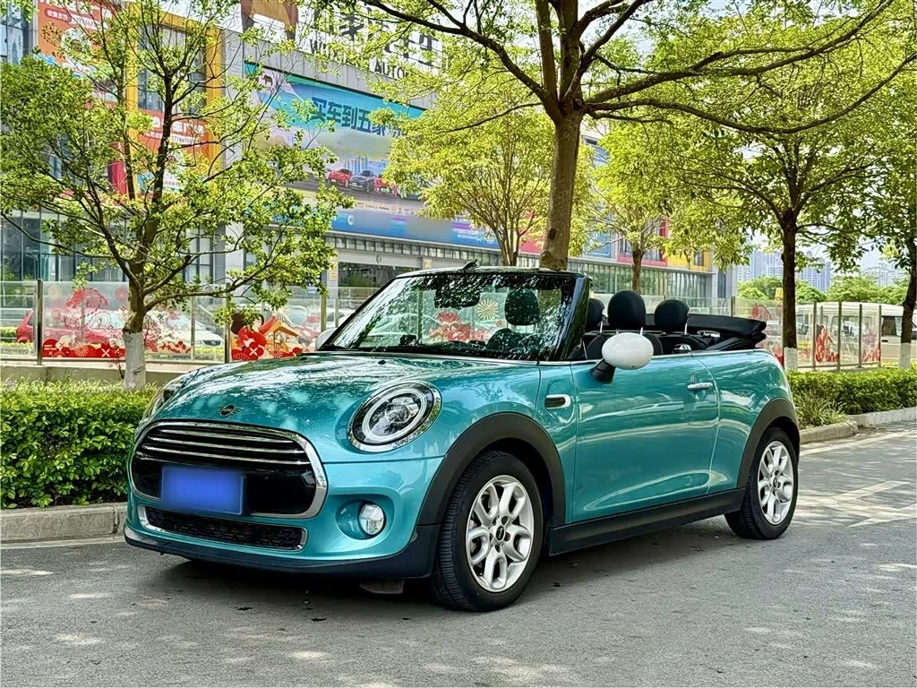 Mini Mini