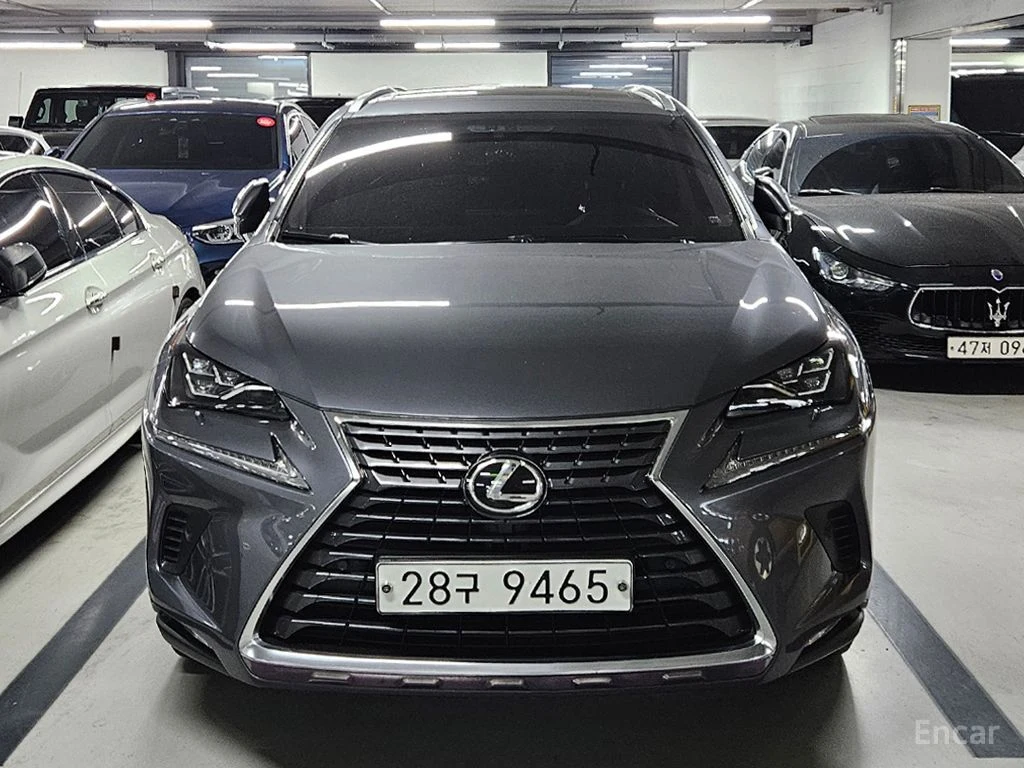Lexus NX