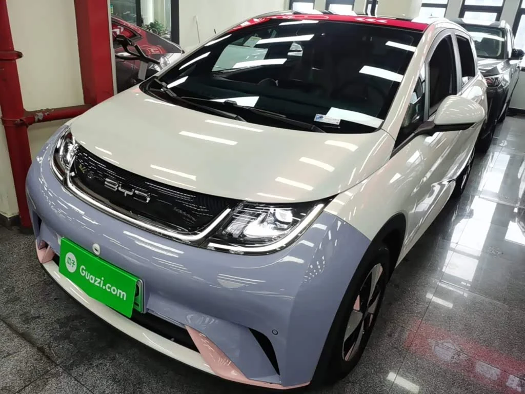 BYD Dolphin