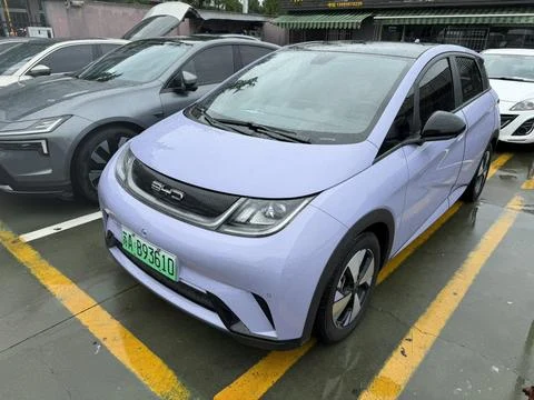 BYD Dolphin