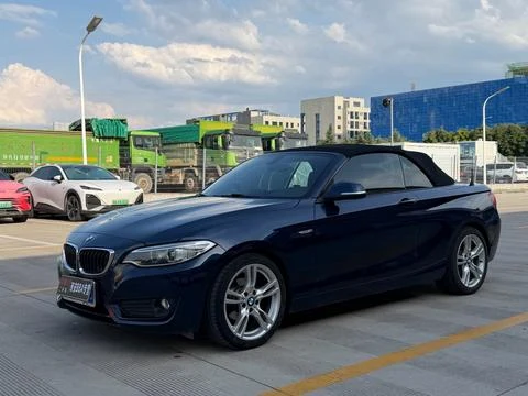 BMW 2 Series