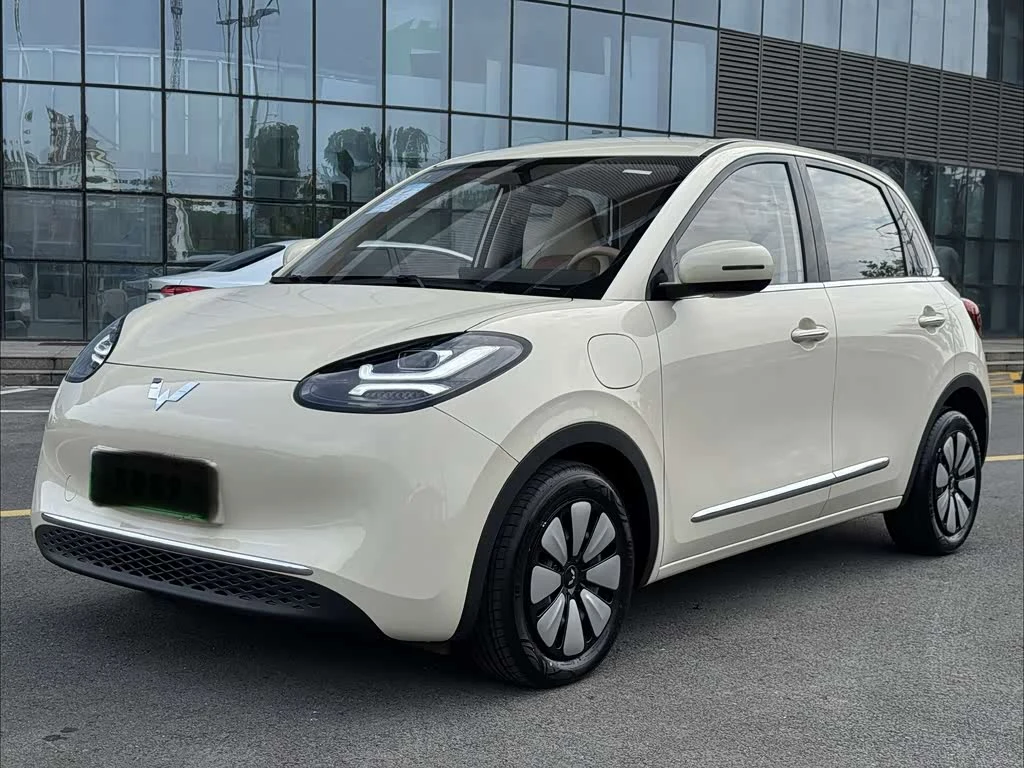 Wuling Binguo