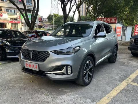 Wey VV6
