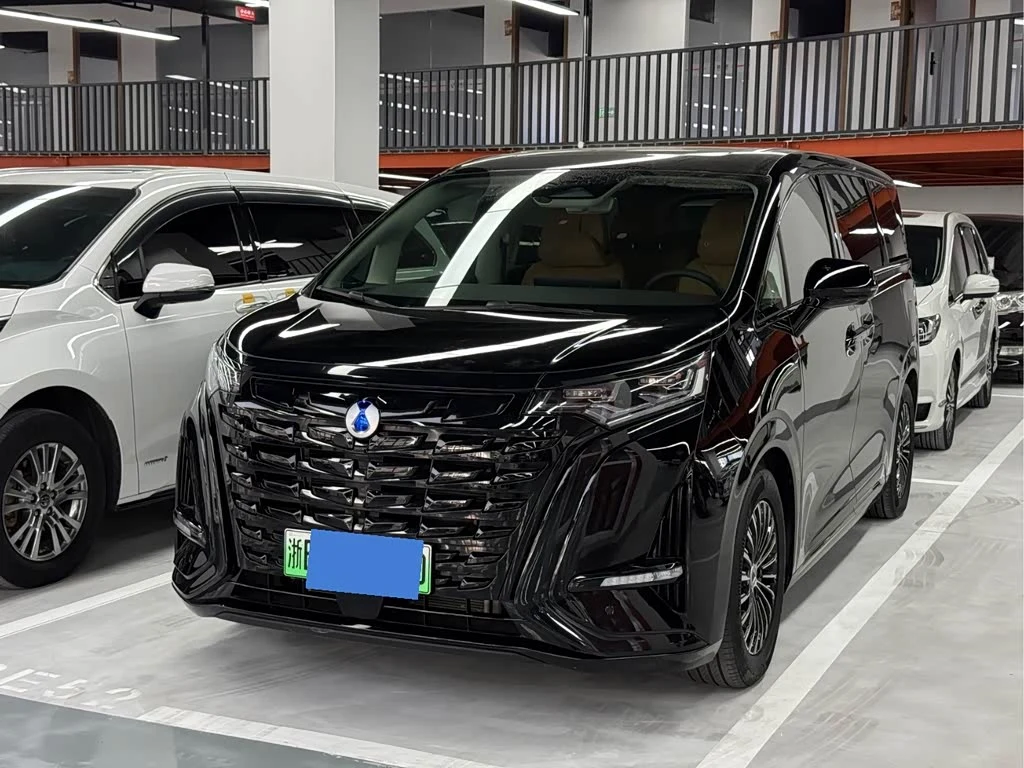Denza D9
