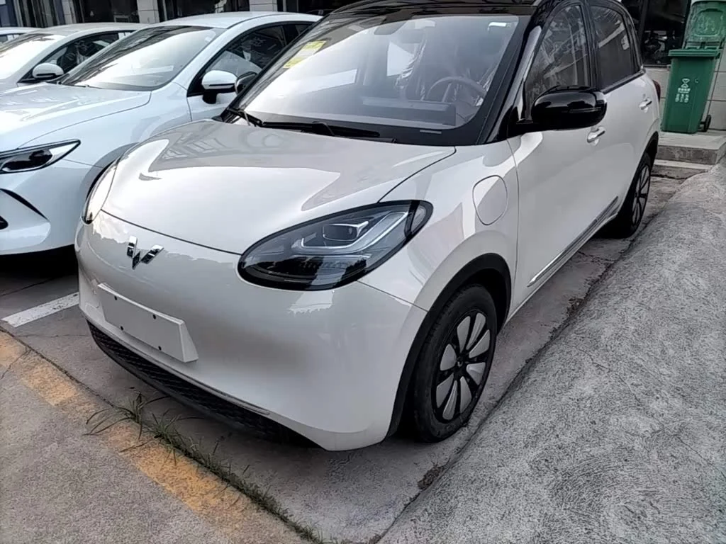 Wuling Binguo