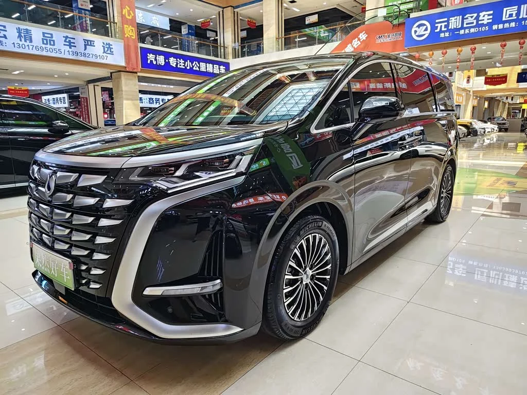 Denza D9