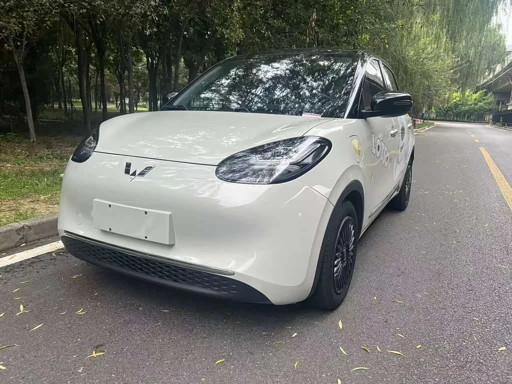Wuling Binguo