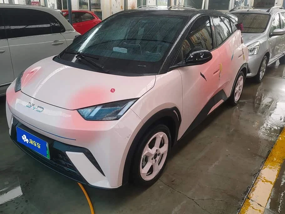 BYD Seagull