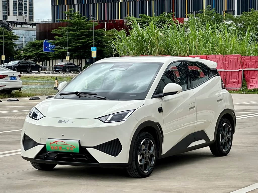 BYD Seagull