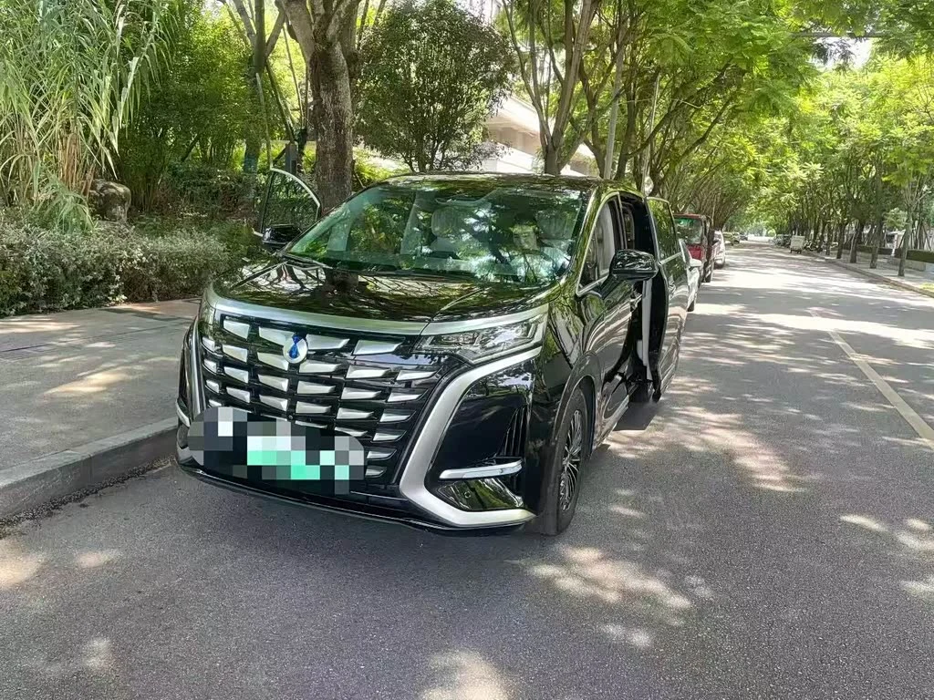 Denza D9