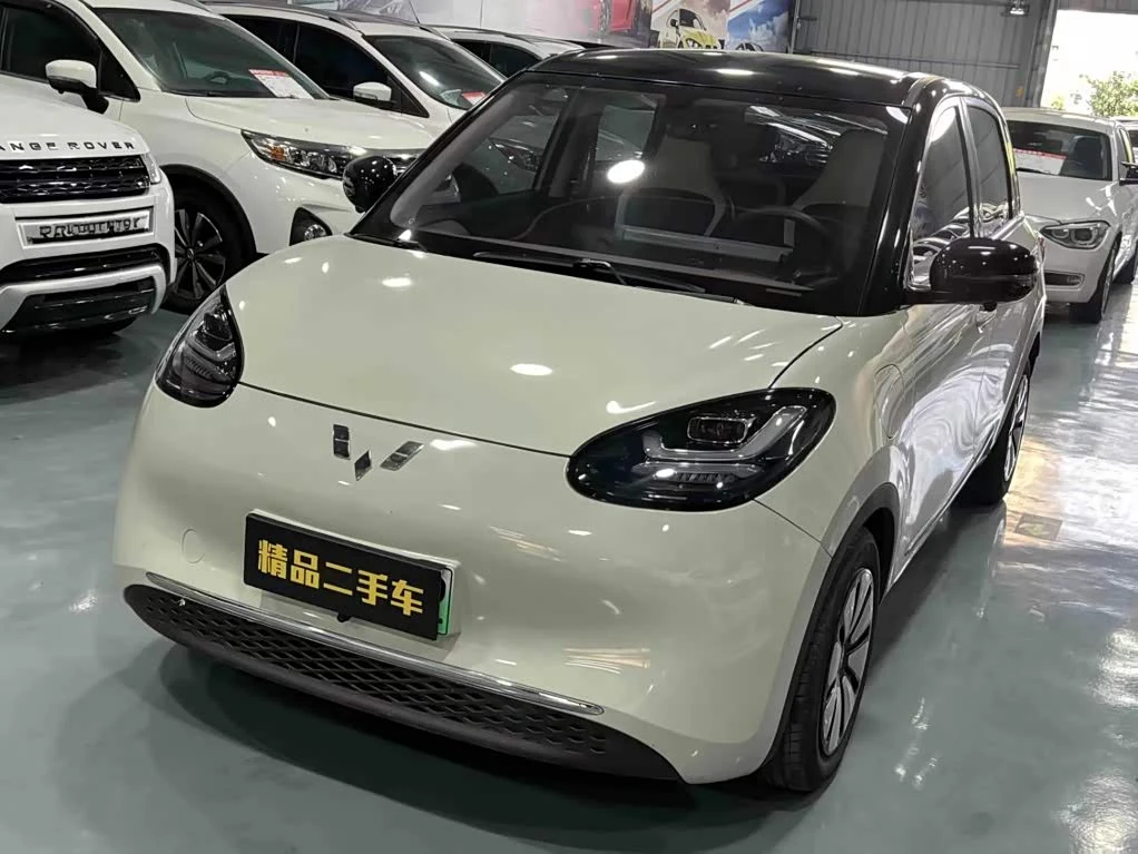 Wuling Binguo
