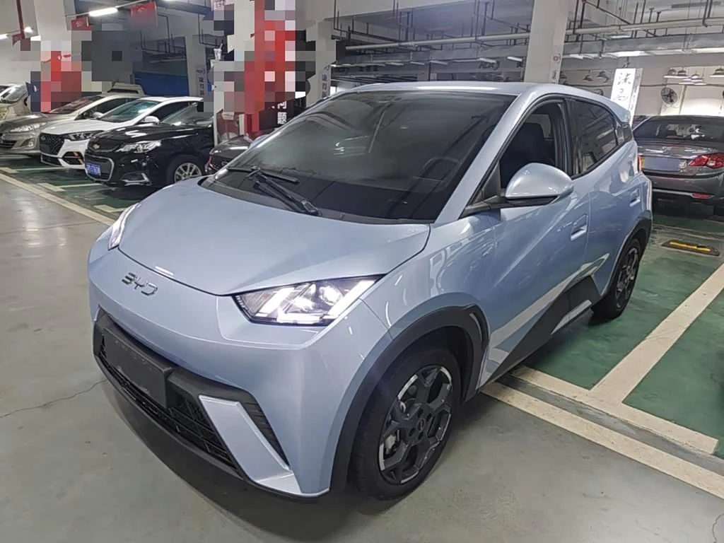 BYD Seagull