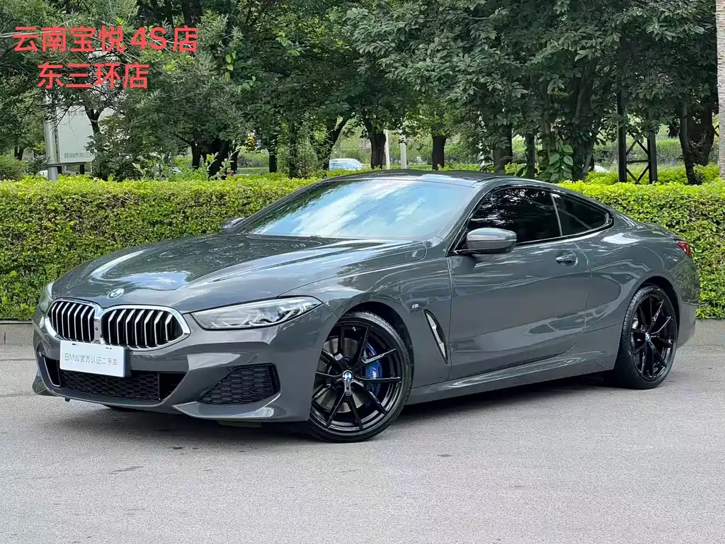 BMW 8 Series