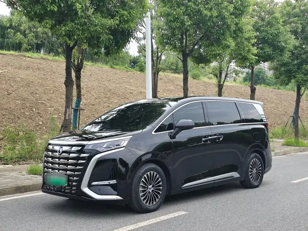 Denza D9