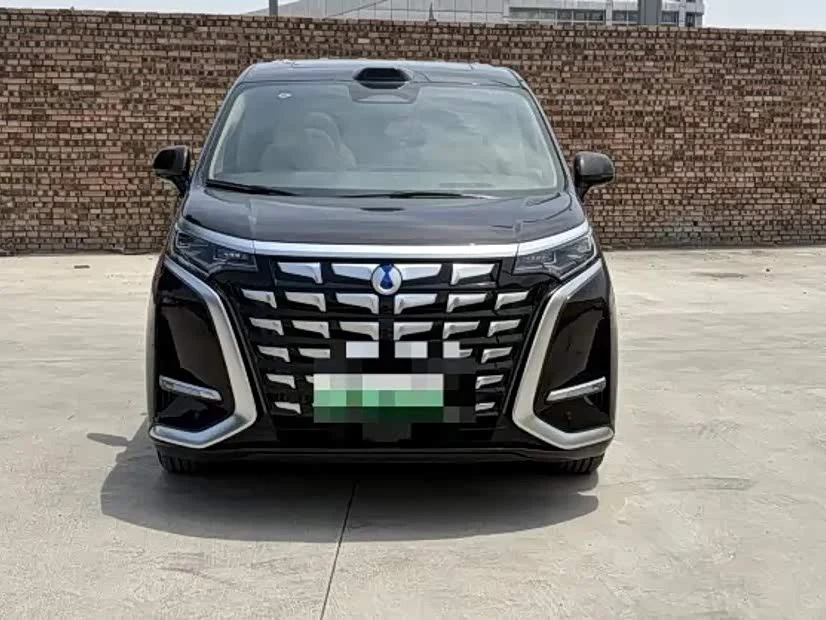 Denza D9