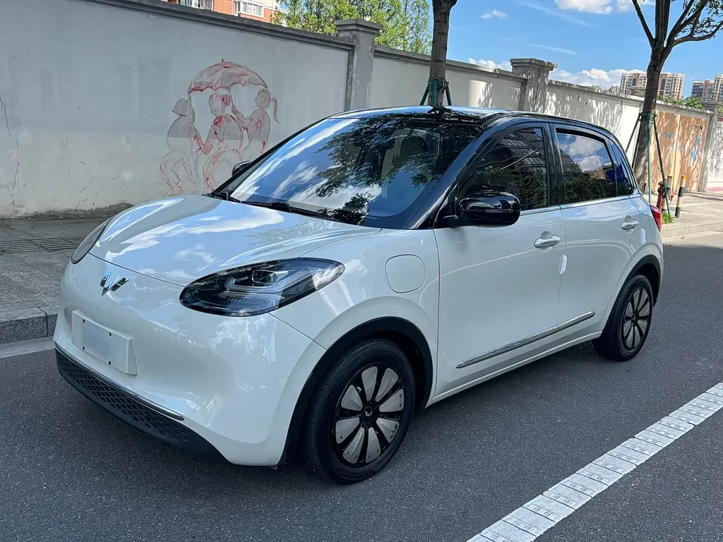 Wuling Binguo